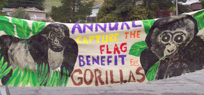 igorilla banner