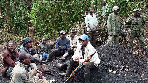 arrest of charcoal producers