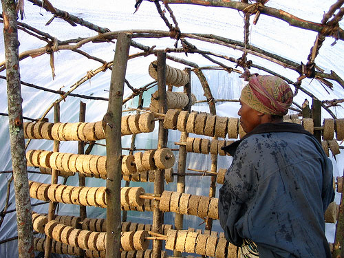 drying fuel briquettes