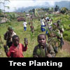 tree planting program