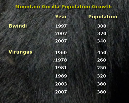 population chart