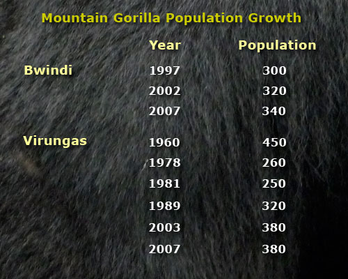 population chart