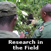 research in the field