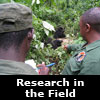 research in the field