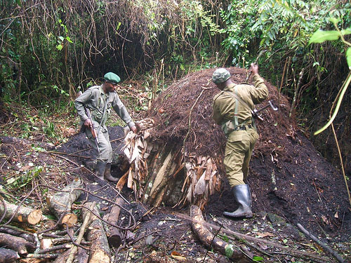 rangers destroy charcoal kiln