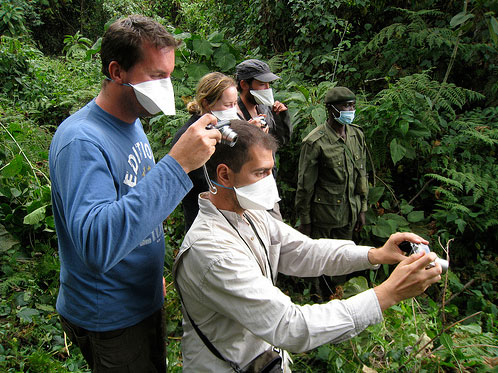 tourists wearing masks