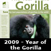 year of the gorilla 2009 poster