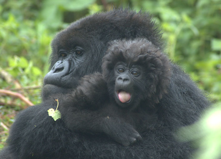 infant with protruding tongue