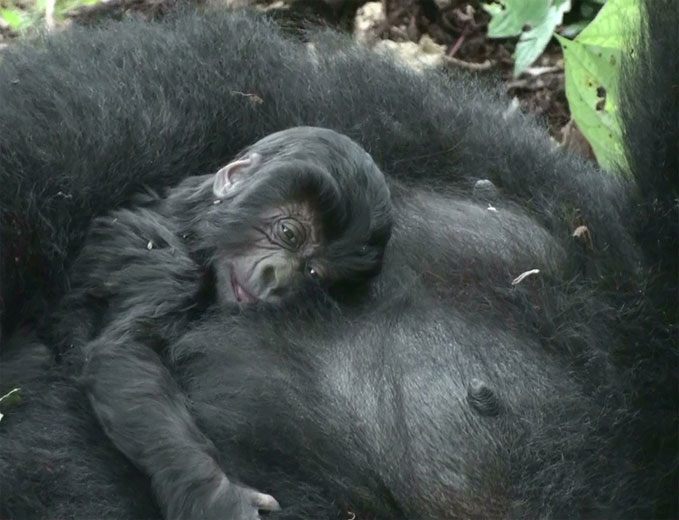 mom with 2 day old baby