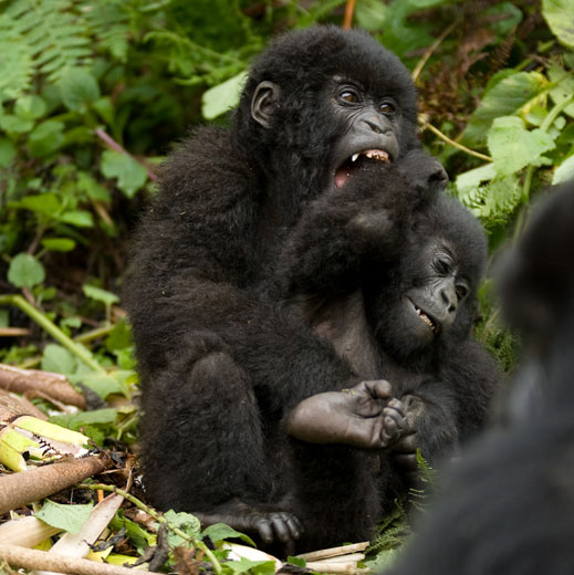 infants playing