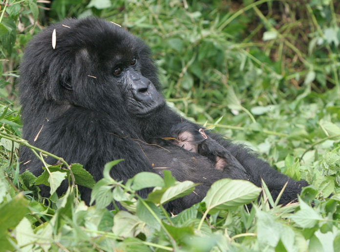 mom with 3 day old baby