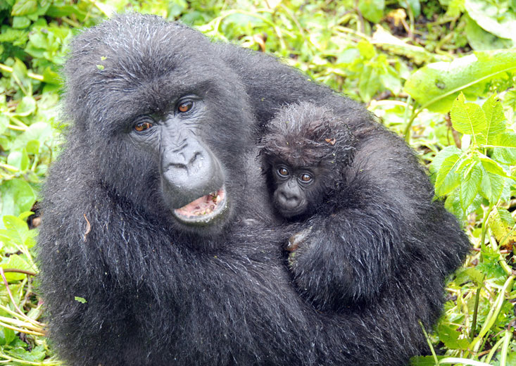 mom and baby in the rain