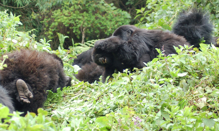 infants playing at naptime