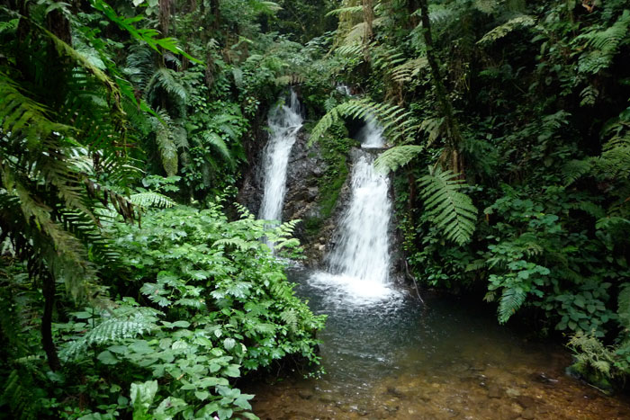 waterfall in bwindi