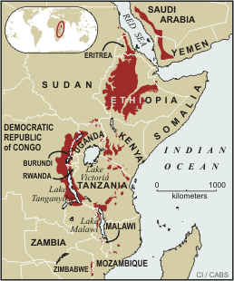 afromontane forest map