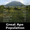 great ape population