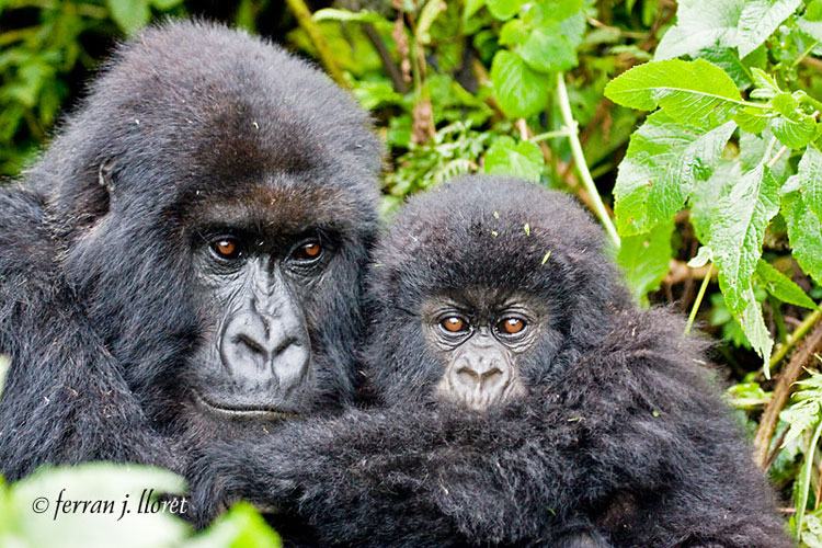 mom and 10 week old infant