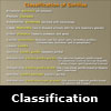 classification of gorillas