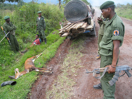 poacher caught with bushbuck