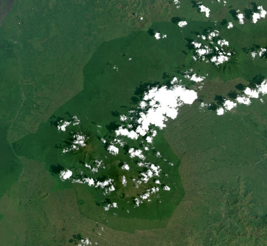 satellite shot of virungas